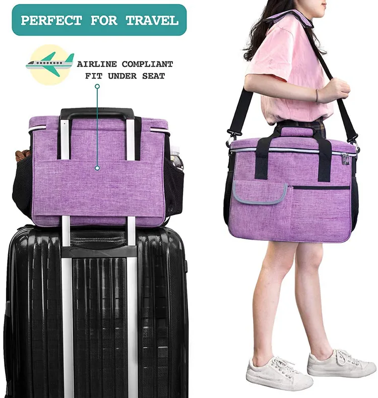 Pet Hard Shell: Rigid Carrier - detail view supplied by QUANZHOU JUNYUAN BAGS