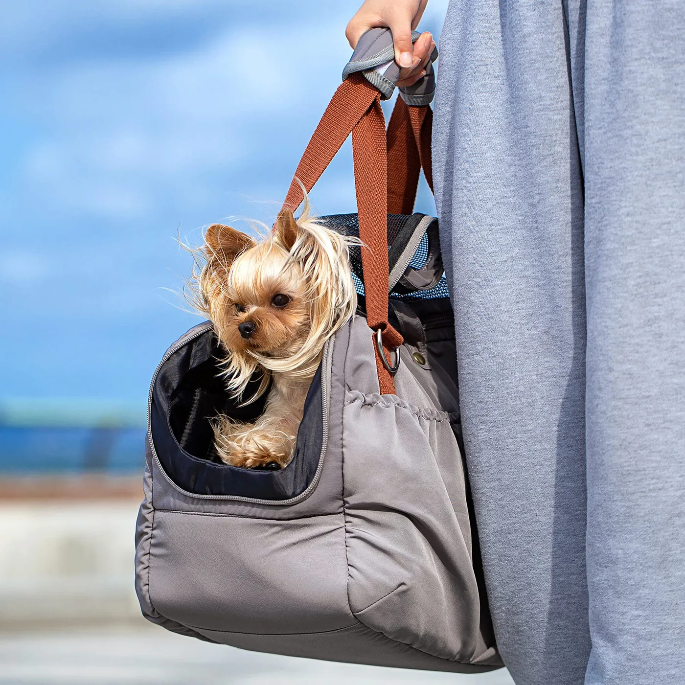 Chew Resistant Pet Bags: Dog Proof Build and Sourcin - detail view supplied by QUANZHOU JUNYUAN BAGS