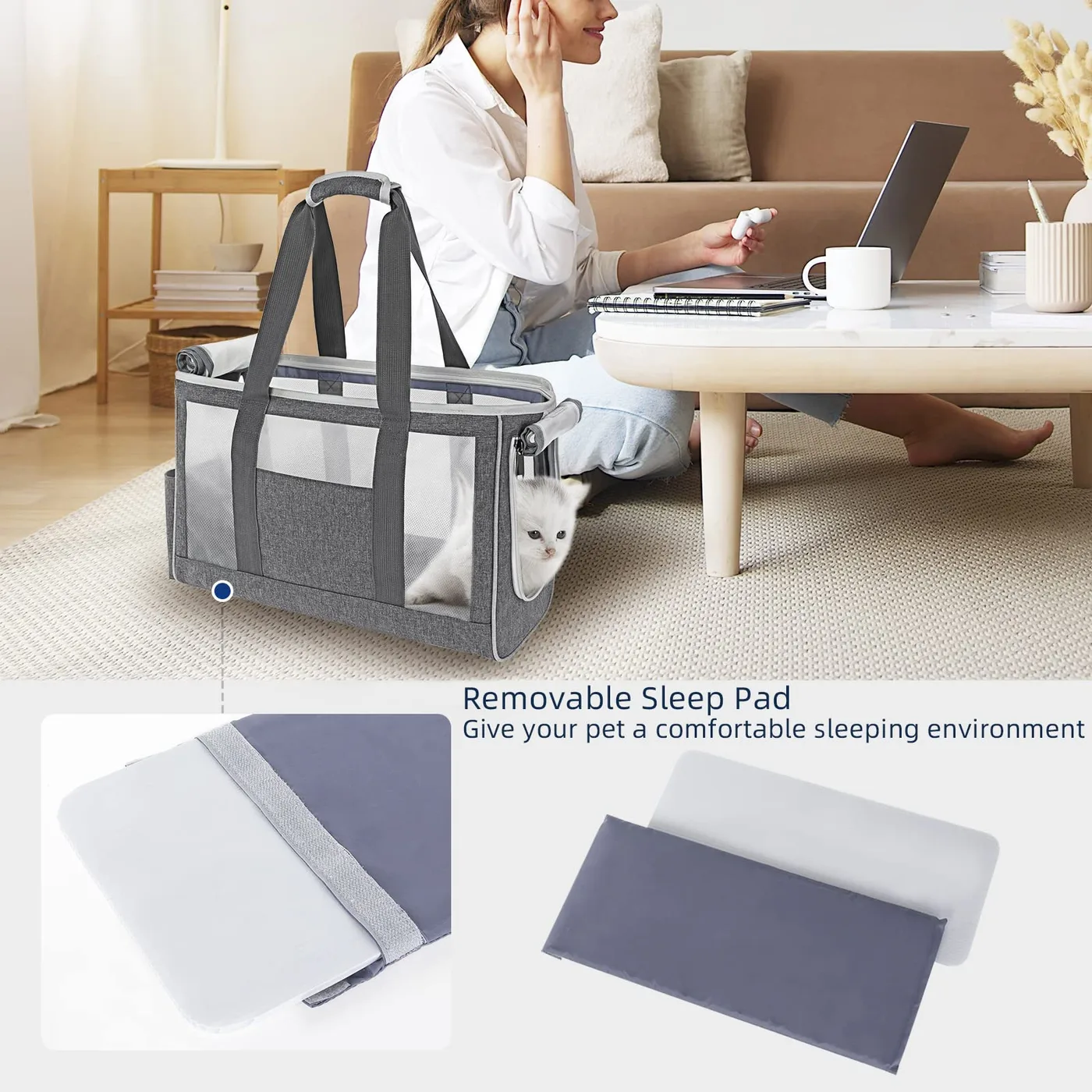 Pet Hard Shell: Rigid Carrier - detail view supplied by QUANZHOU JUNYUAN BAGS