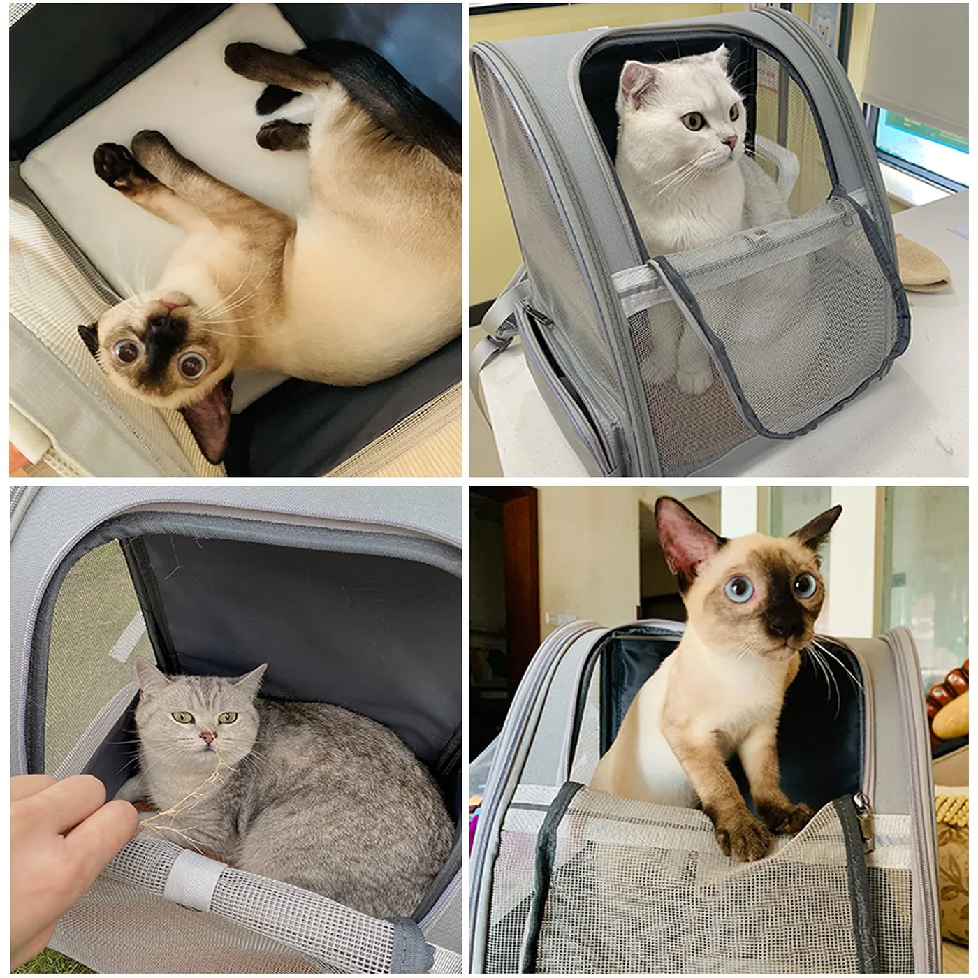Pet Bag Manufacturer: Complete Sourcing Guide - detail view supplied by QUANZHOU JUNYUAN BAGS